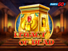 Wordpress portal teması. Book of dead casino slot.22